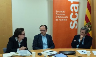 Webinar de la SCAF | Febrer 2025 | Llei Orgànica 1/25 i la seva afectació al Dret de Família